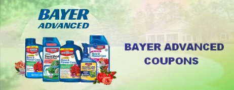 Bayer Advanced coupons