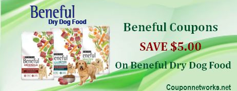 Beneful Dry Dog Food