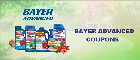 Bayer Advanced Coupon