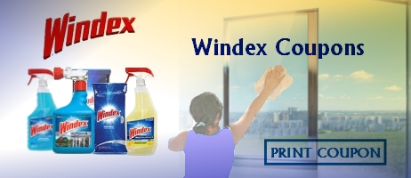 Windex Coupon